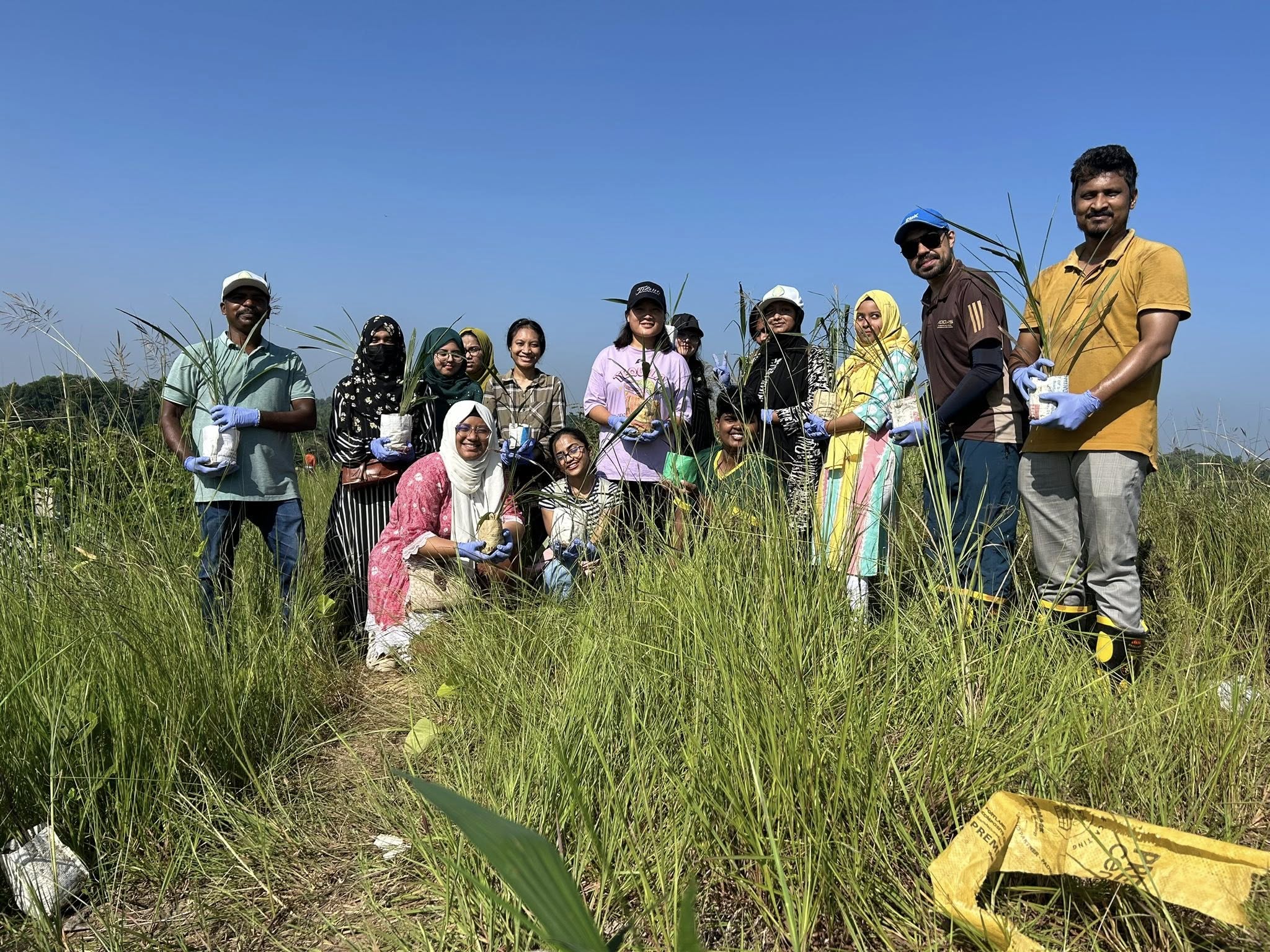 Hillside Planting