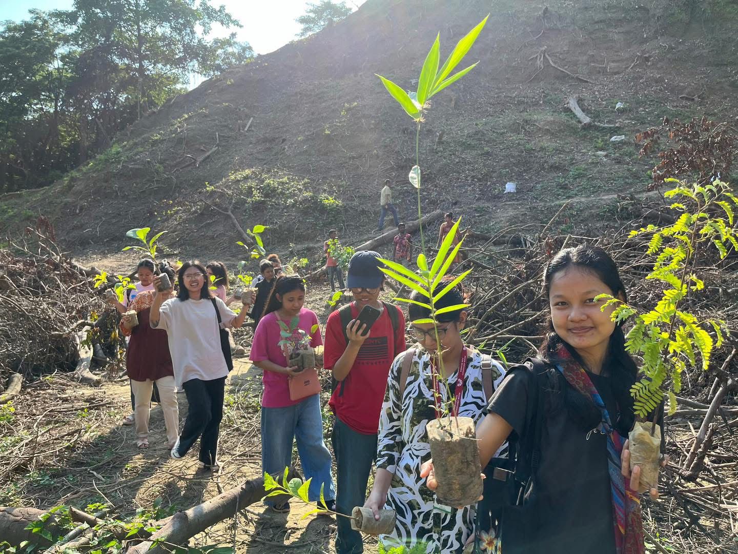 Sapling Walk